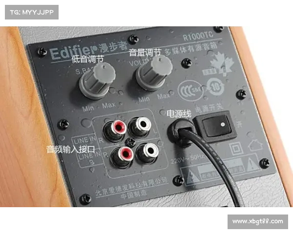 全面解析R1000TC北美版使用体验优缺点及性能表现