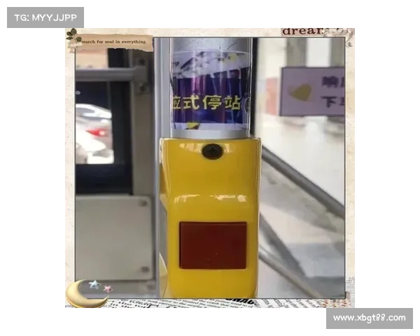 提升出行效率：TomTom导航的使用技巧