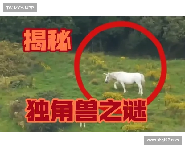 神兽森林的遗秘探寻:古老传说中的奇迹与神秘力量 神兽森林的遗秘探寻:古老传说中的奇迹与神秘力量