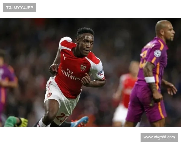 深入探究维尔贝克黑贝之谜