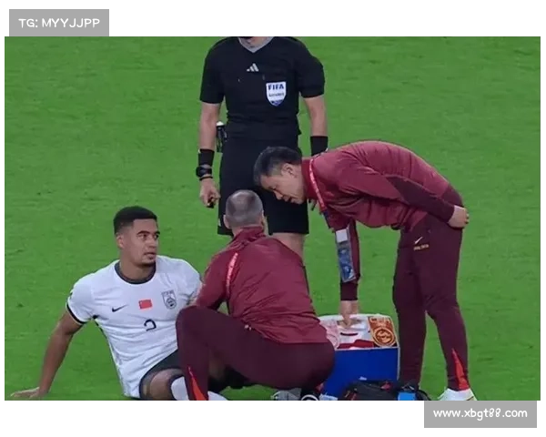 归化国脚背后的三大关键因素解析及影响力分析